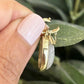 Moonstone Scarab and Lotus Charm